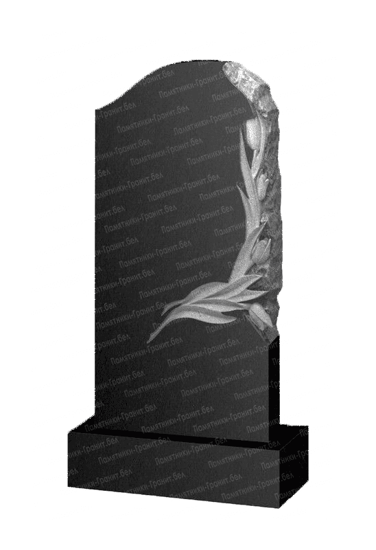 Заказать памятник Свислочь фото